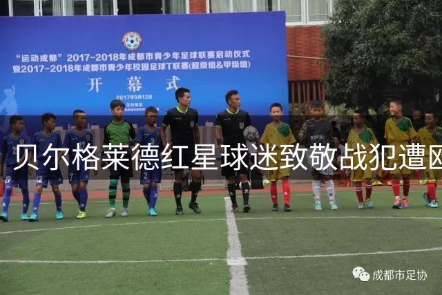 贝尔格莱德红星球迷致敬战犯遭欧足联重罚
